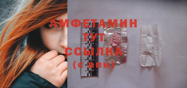 дмт Богородицк