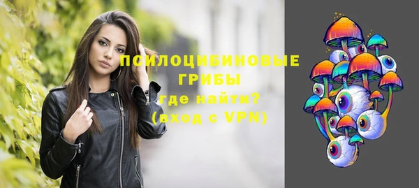 дмт Богородицк