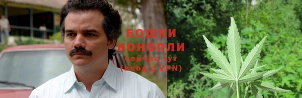 дмт Богородицк