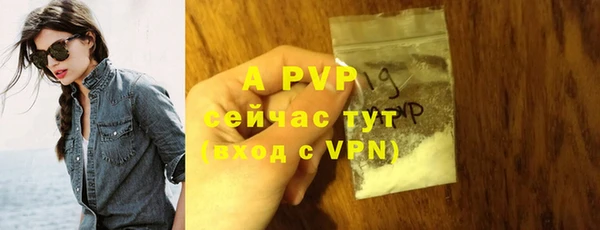 дмт Богородицк