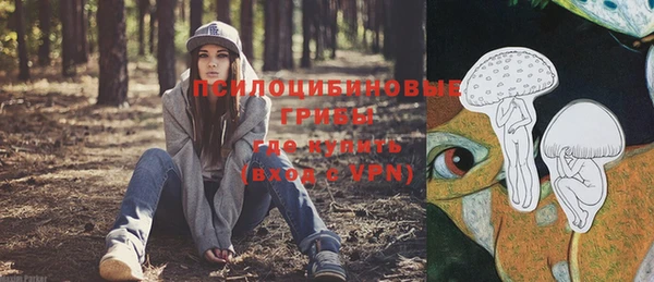 амфетамин Богданович